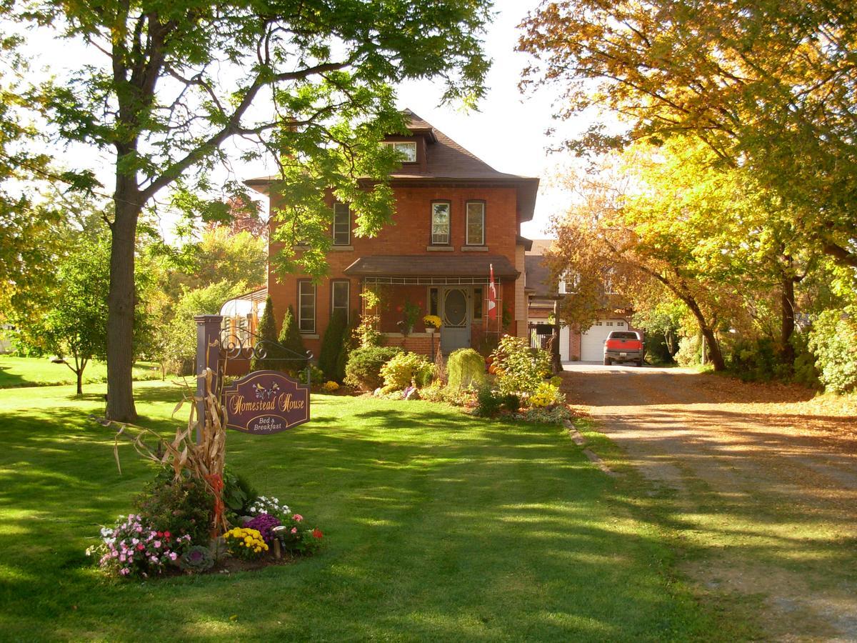 Homestead House B&B 汉密尔顿 外观 照片